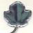 Aldara genital wart cream leaf logo