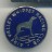 Aire Valley Whippet Racing Club