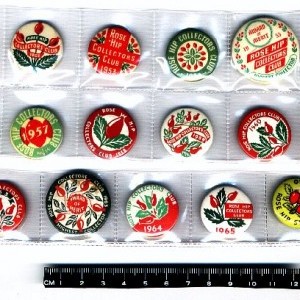 Rose Hip Collectors Club 1950-60s