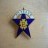 The Primrose League 30 years service badge