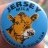 Jersey Milk Breakfast & Gold Top